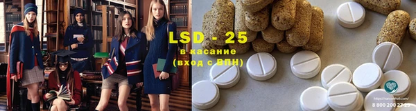 молекула духа Новый Уренгой