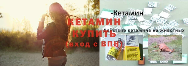 стаф Мегион