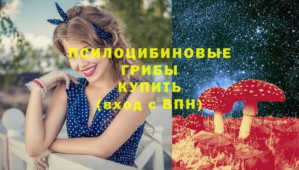 jwh Медногорск