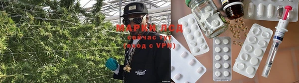 гидра Михайловск